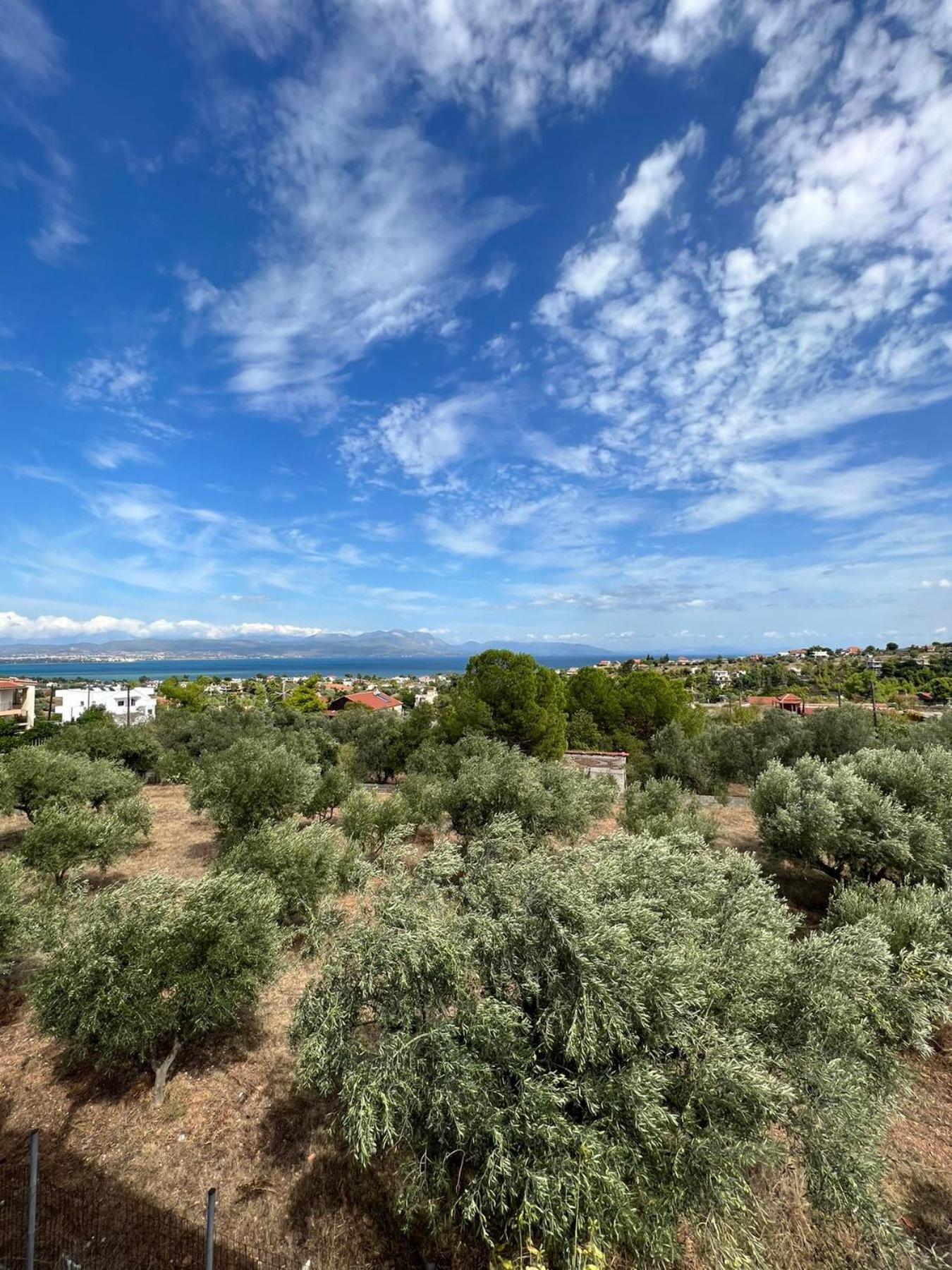 Xenia'S Seaview House Paralia Avlidhos Exterior foto